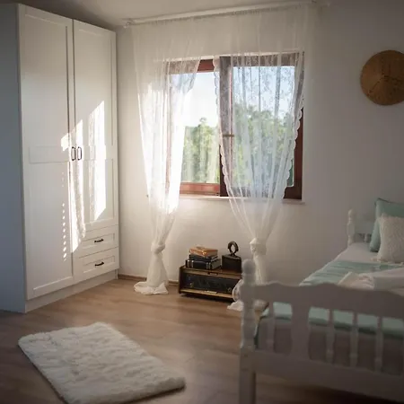 Willa Pearl In Stone *