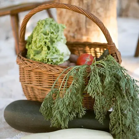 Villa Pearl In Stone *